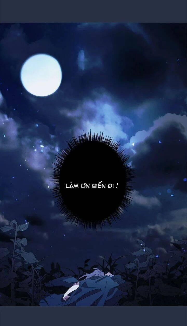 Tình Điên Dại 37 trang 56