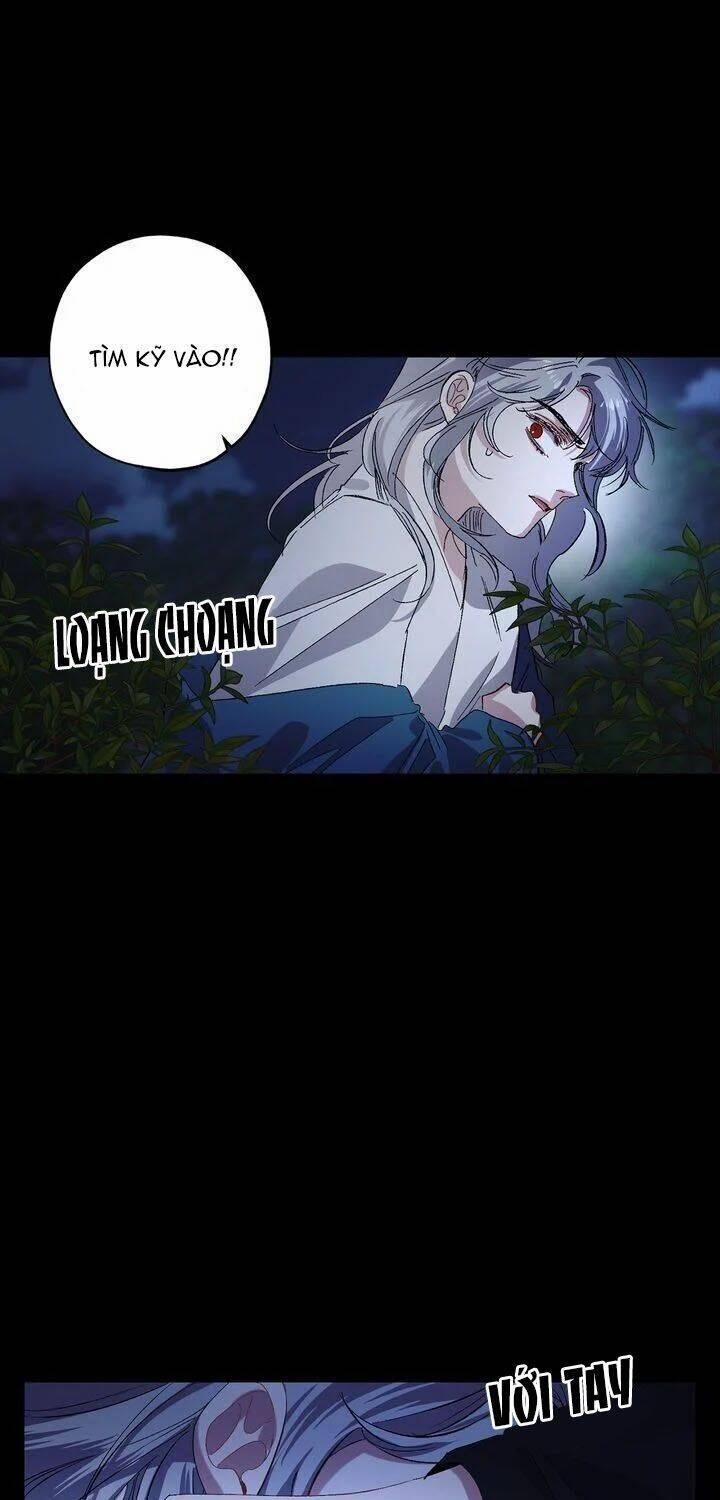 Tình Điên Dại 38 trang 14