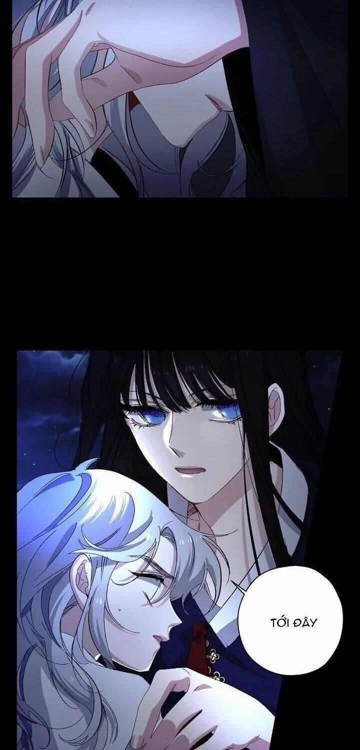 Tình Điên Dại 38 trang 15