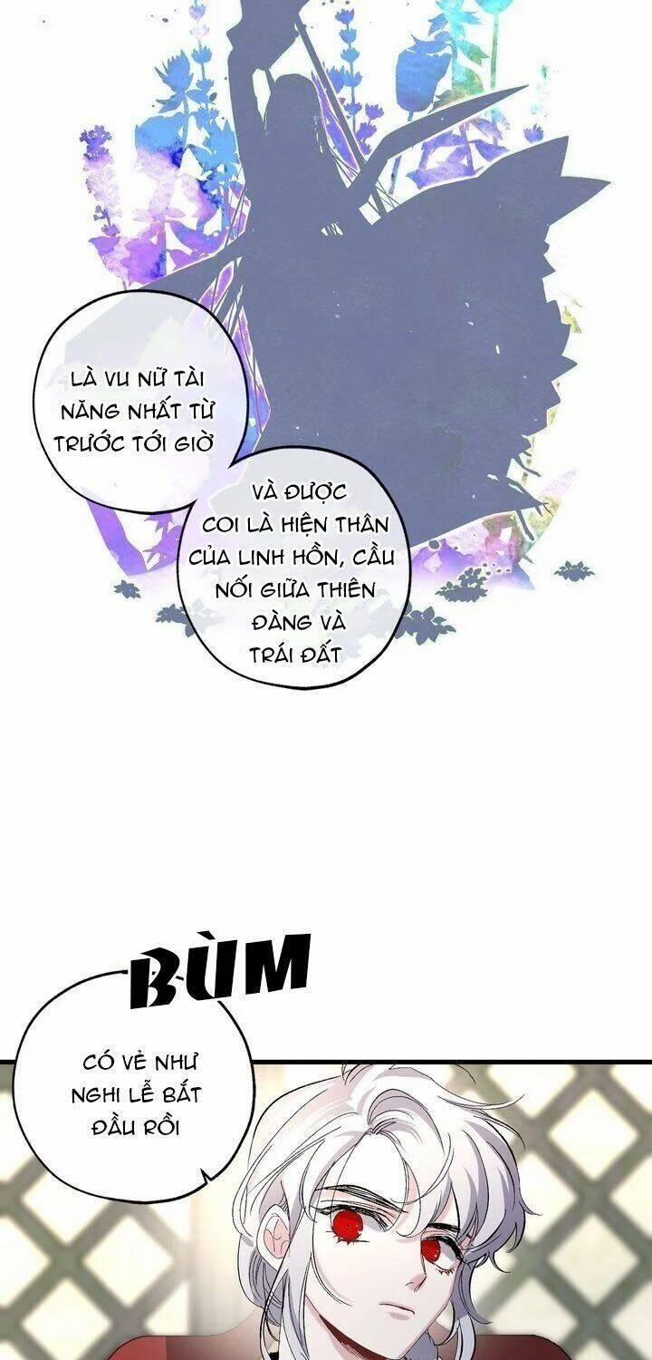 Tình Điên Dại 38 trang 31