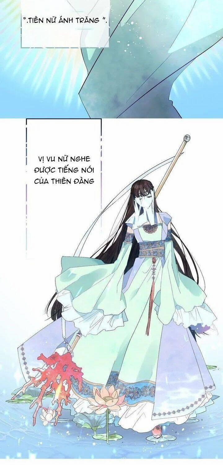 Tình Điên Dại 38 trang 43