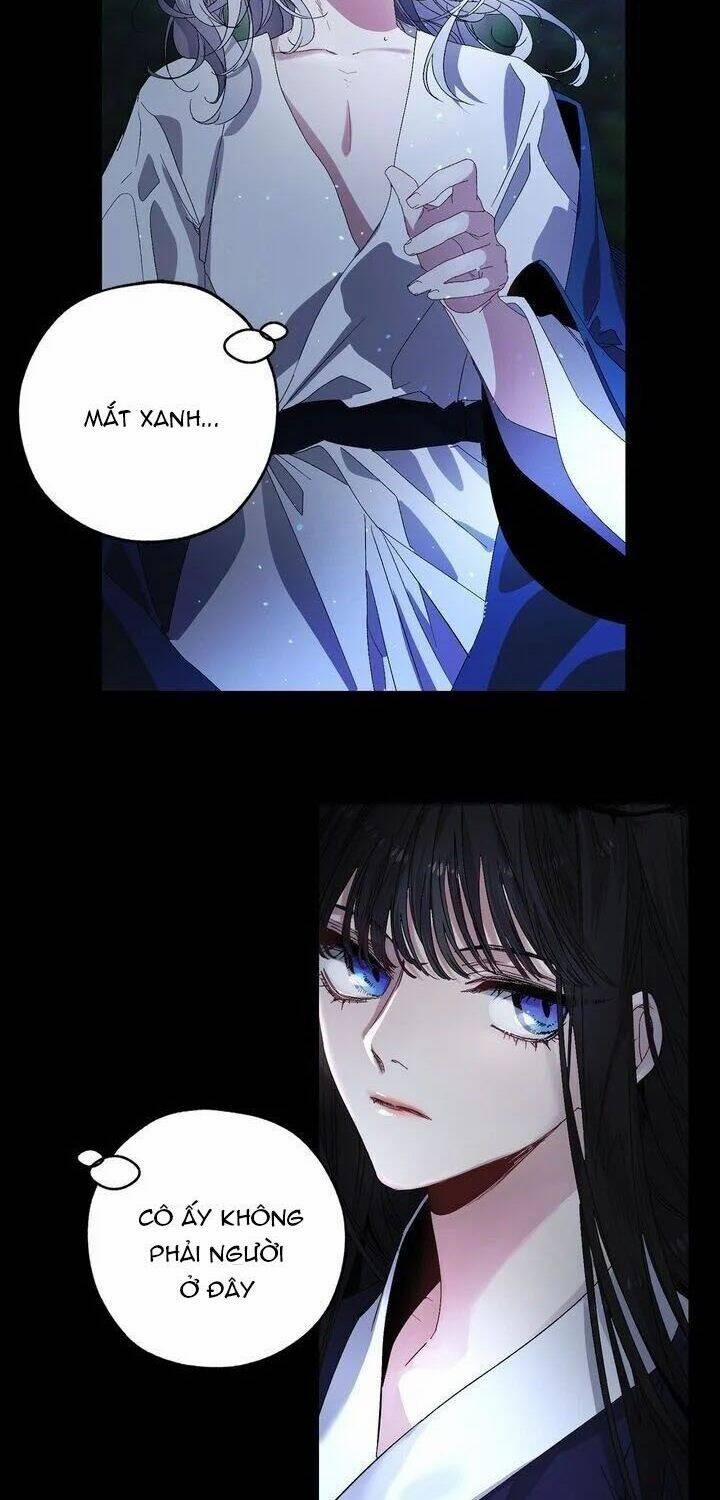 Tình Điên Dại 38 trang 6