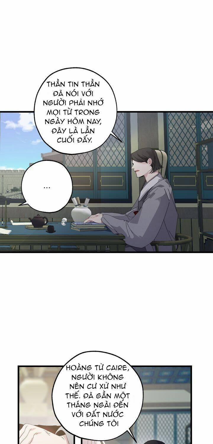 Tình Điên Dại 39 trang 16