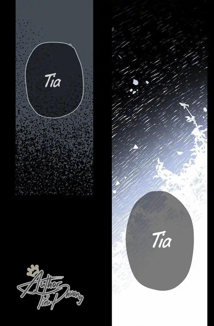 Tình Điên Dại 4 trang 3