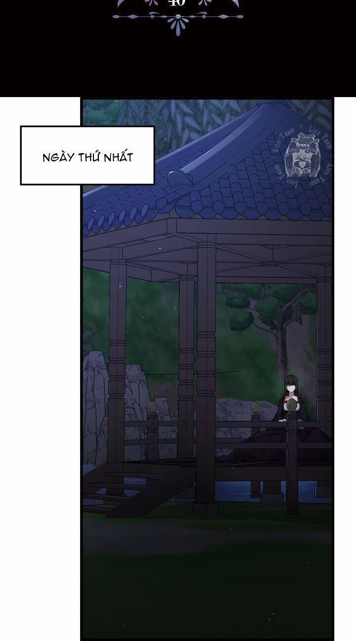 Tình Điên Dại 40 trang 4