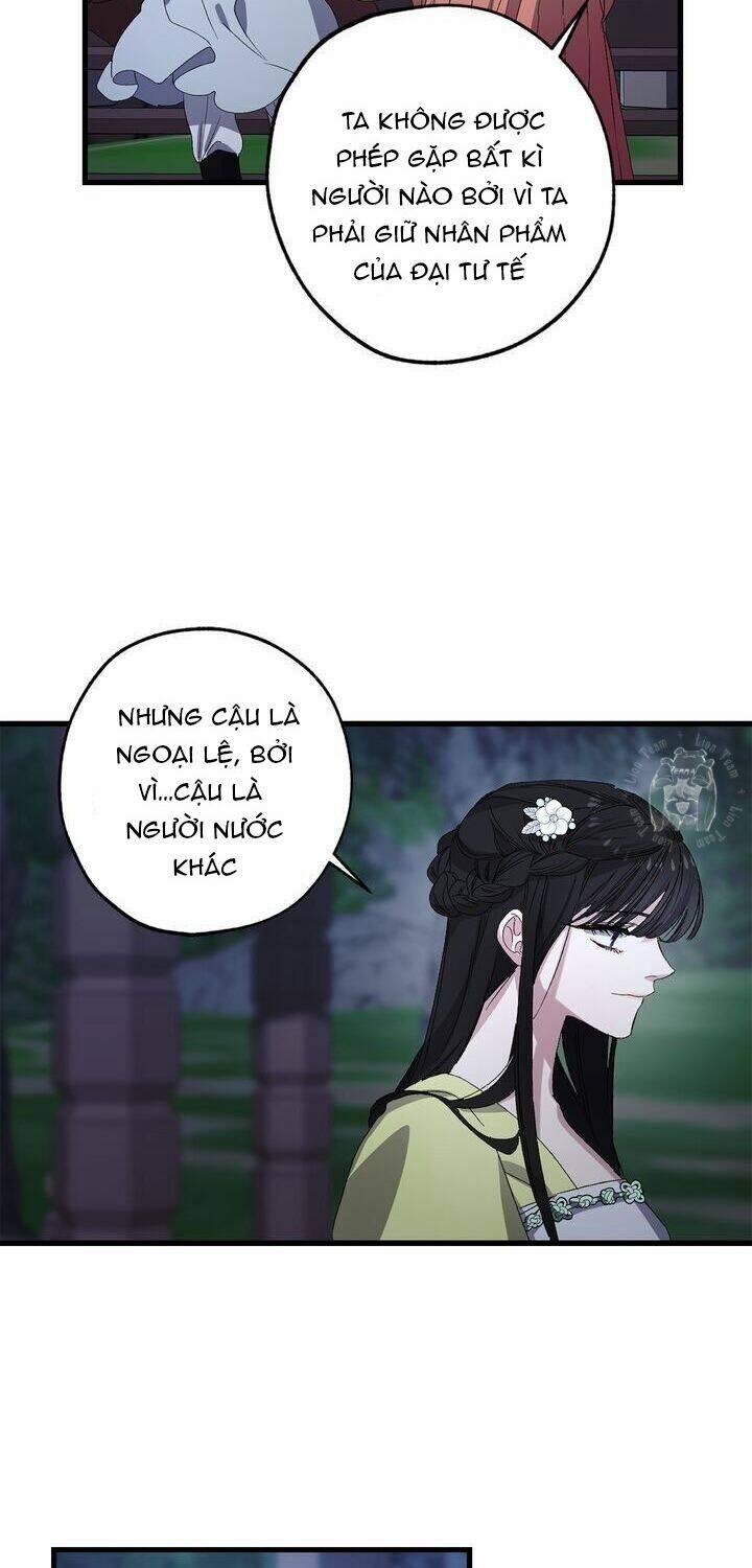 Tình Điên Dại 40 trang 41