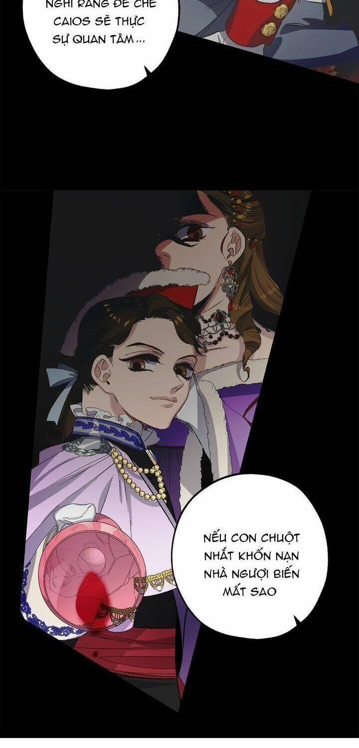 Tình Điên Dại 42 trang 12