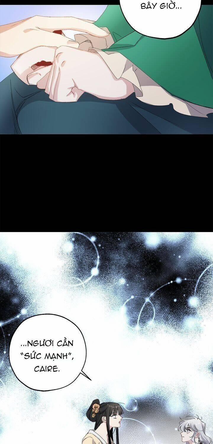 Tình Điên Dại 43 trang 10