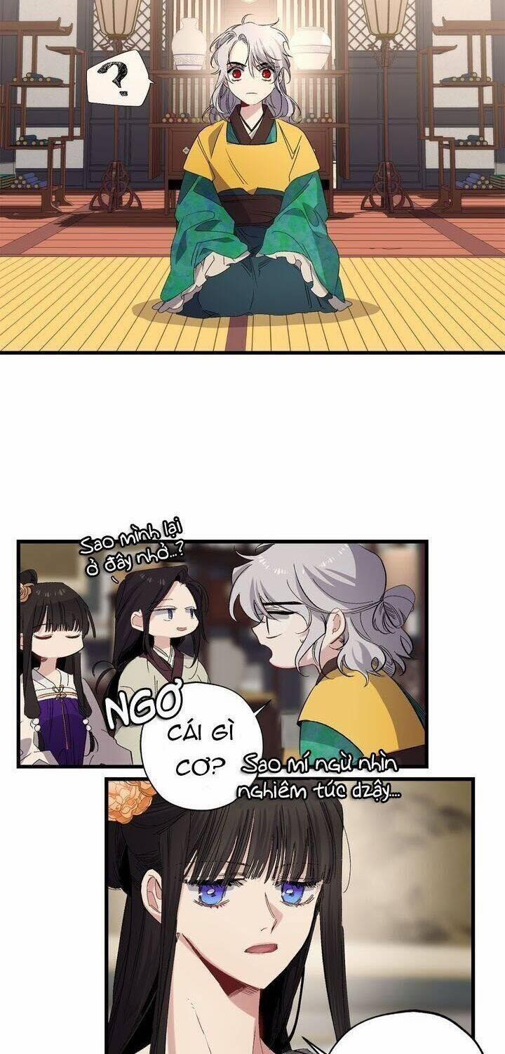 Tình Điên Dại 43 trang 5