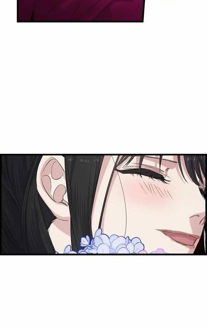 Tình Điên Dại 44 trang 11