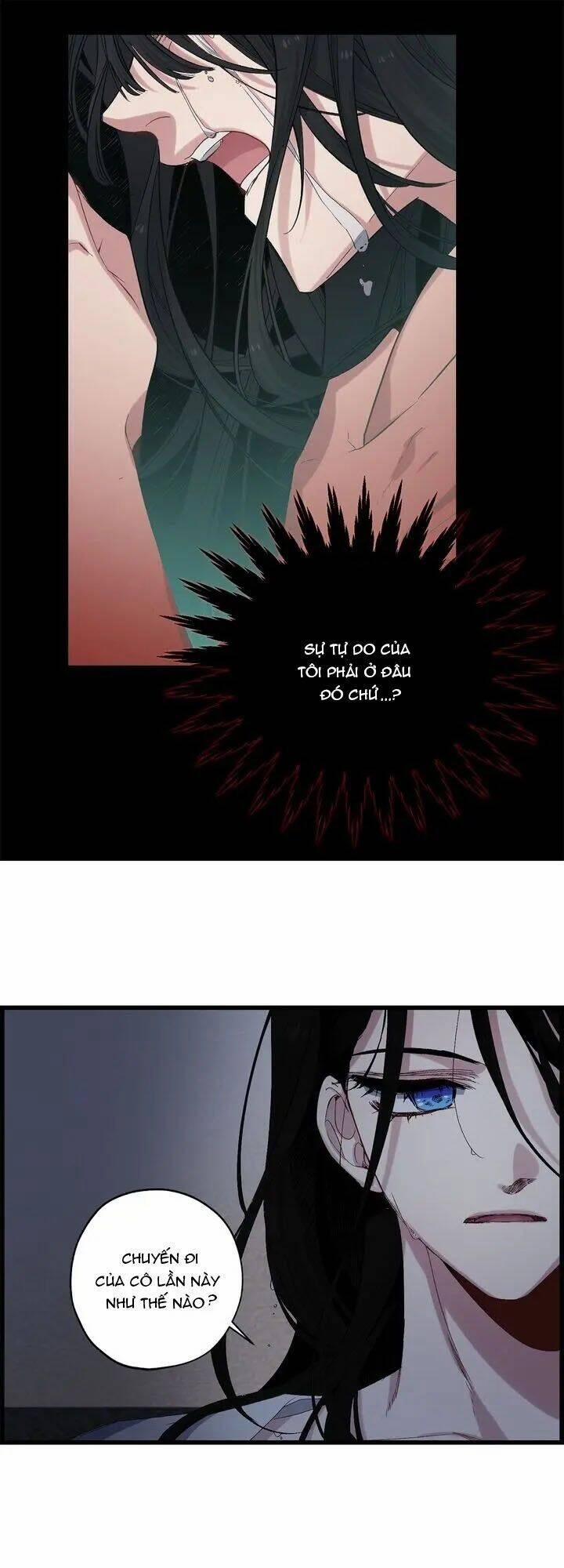 Tình Điên Dại 44 trang 21