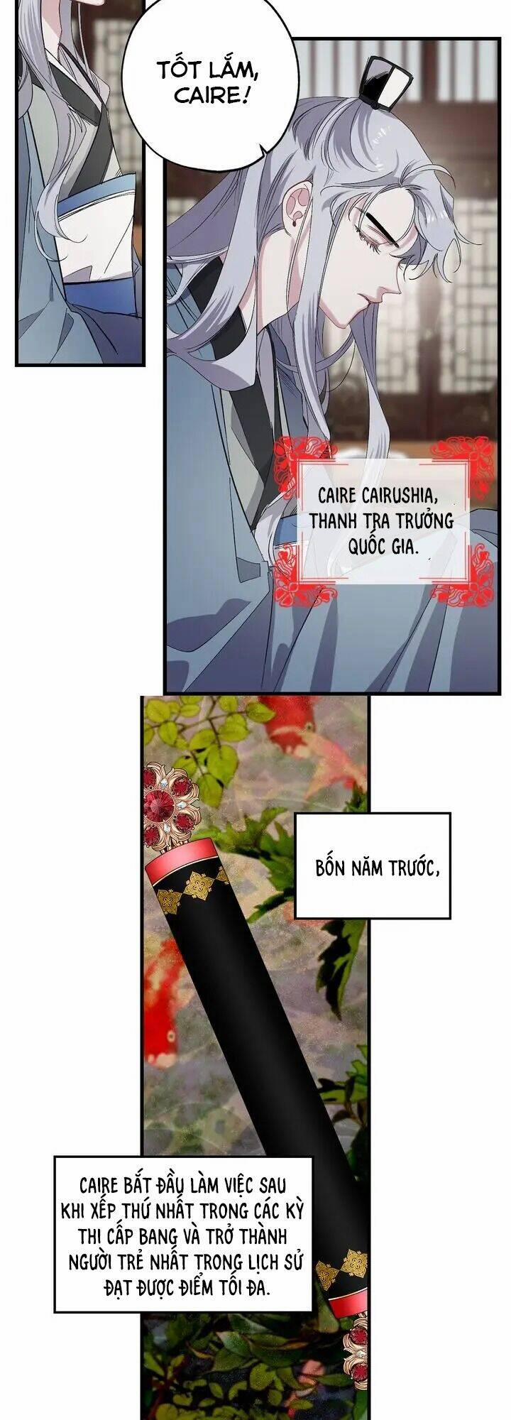 Tình Điên Dại 45 trang 11