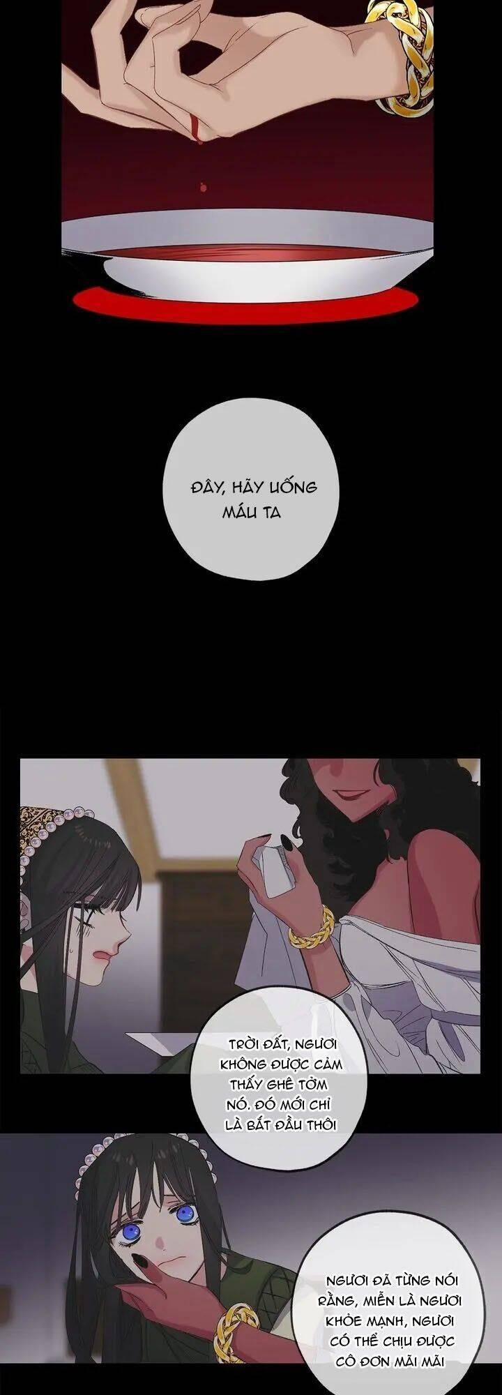 Tình Điên Dại 46 trang 26