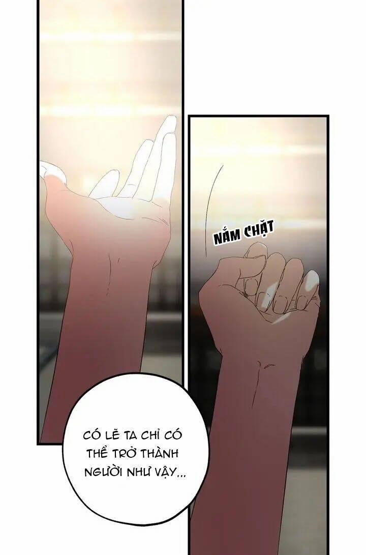 Tình Điên Dại 46 trang 29