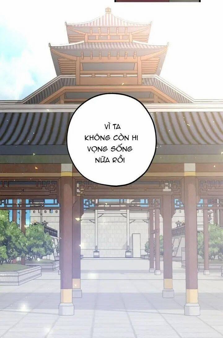 Tình Điên Dại 46 trang 30