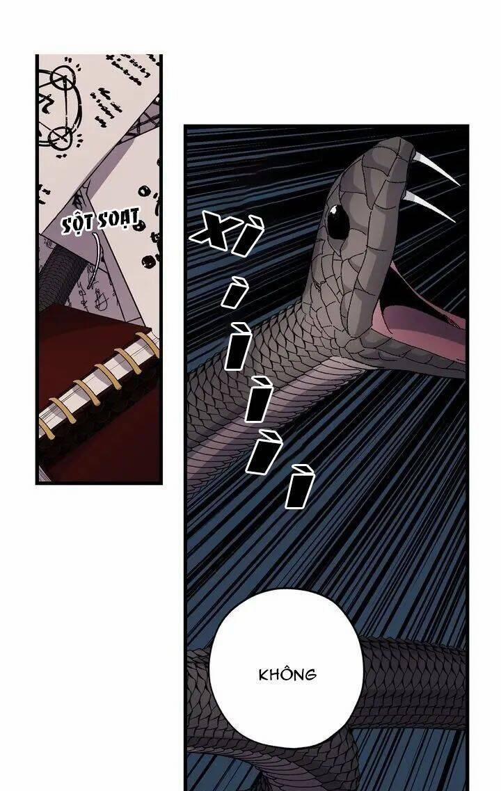 Tình Điên Dại 47 trang 11