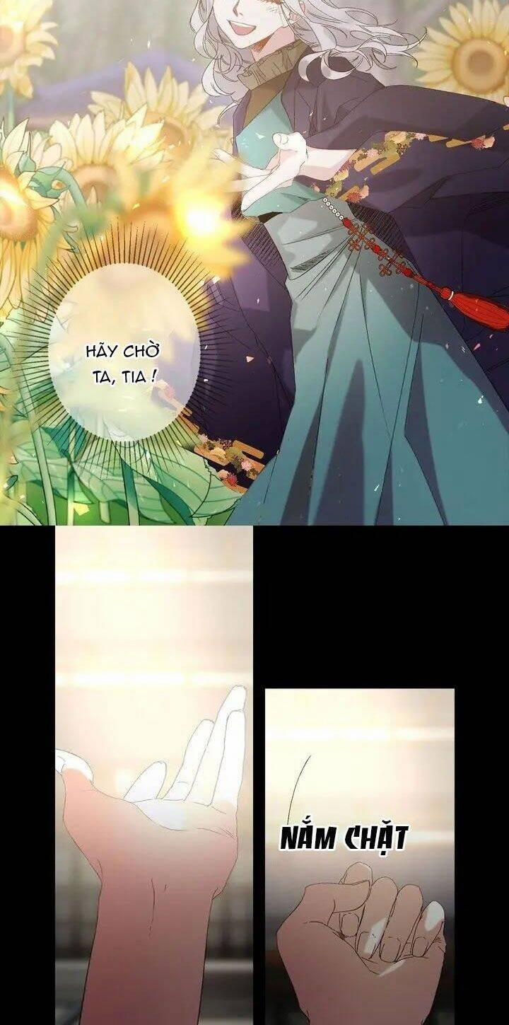 Tình Điên Dại 47 trang 2