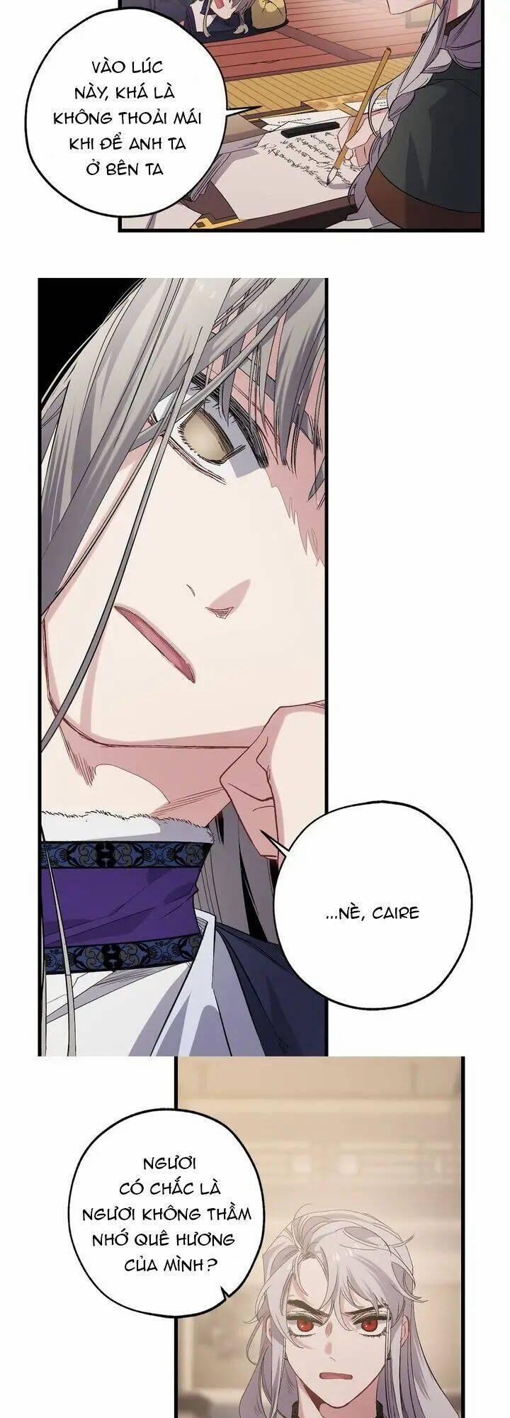 Tình Điên Dại 47 trang 7