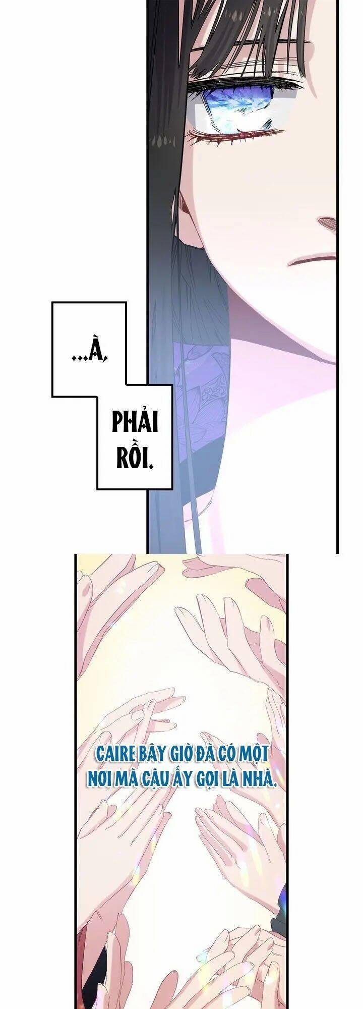 Tình Điên Dại 48 trang 13