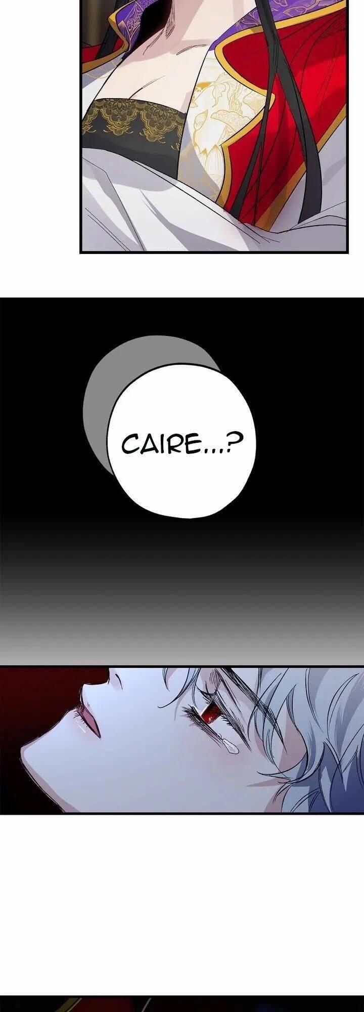 Tình Điên Dại 48 trang 24