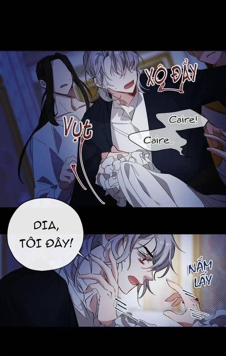 Tình Điên Dại 49 trang 14