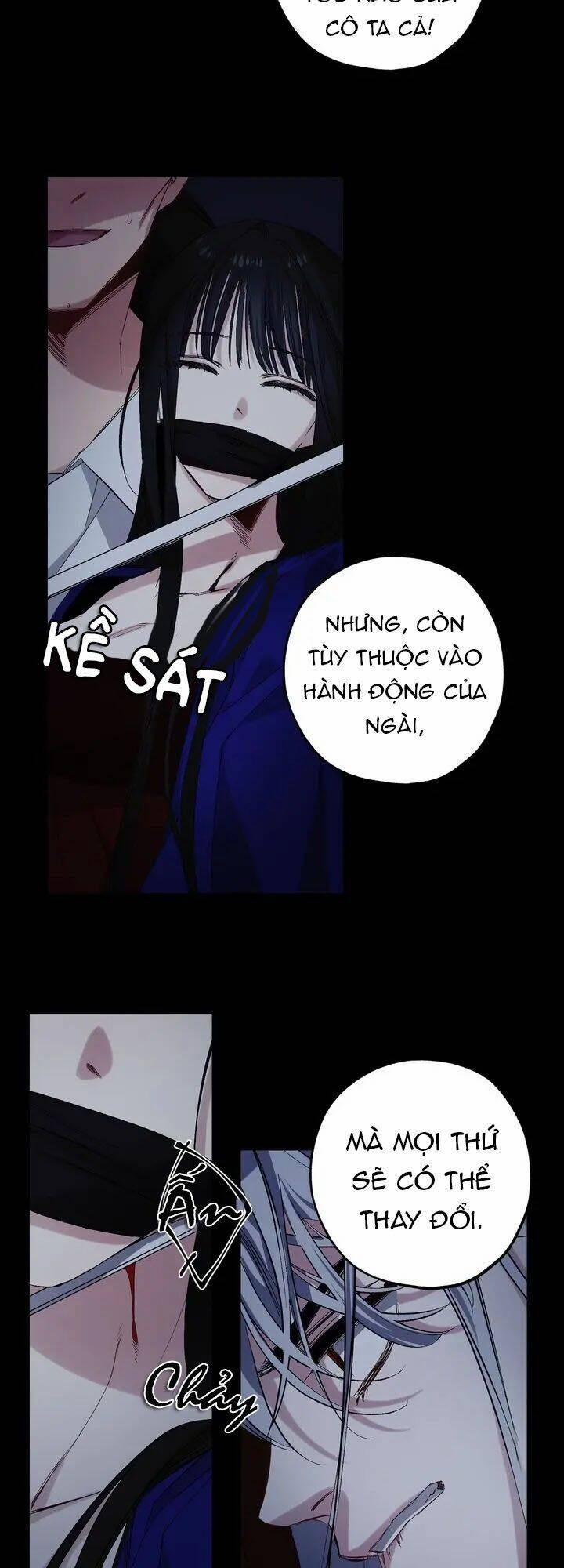 Tình Điên Dại 50 trang 12