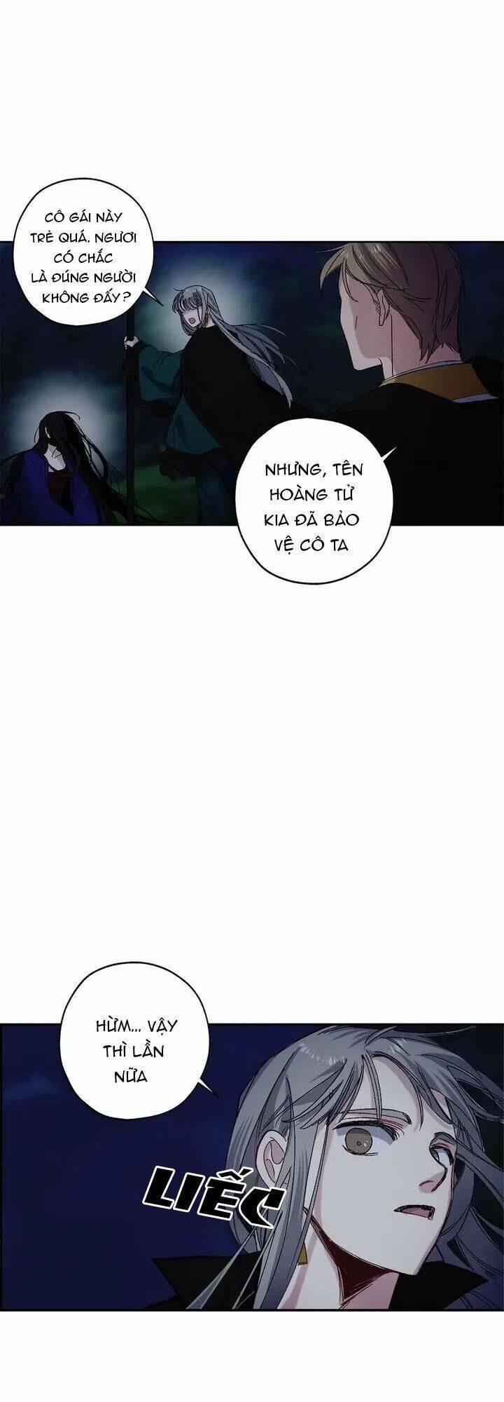 Tình Điên Dại 51 trang 13