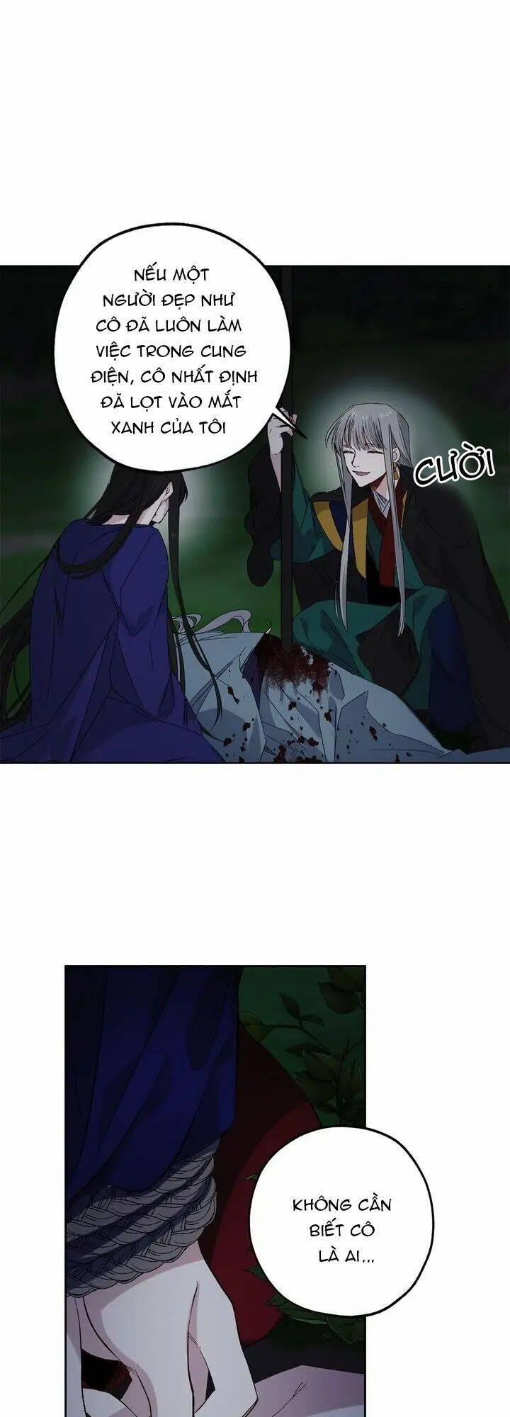 Tình Điên Dại 51 trang 14