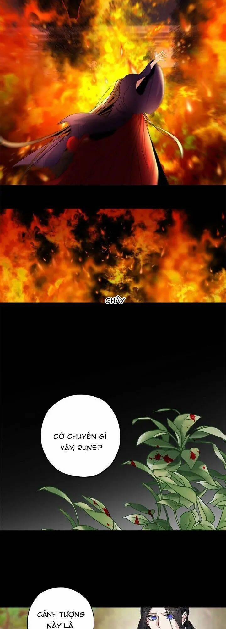 Tình Điên Dại 51 trang 24