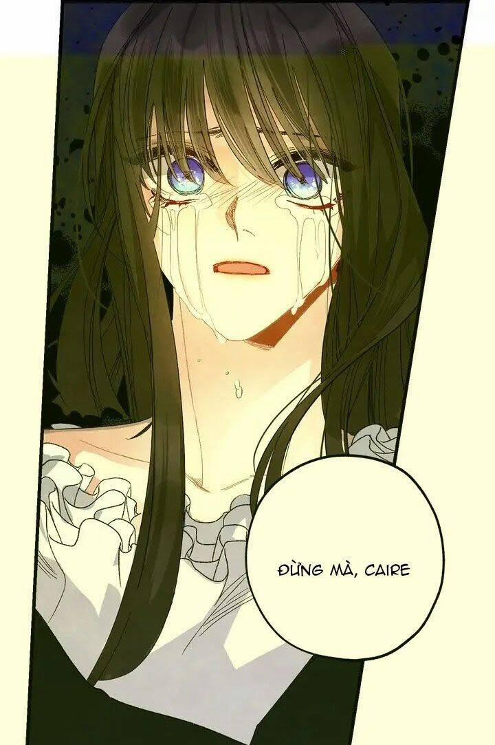 Tình Điên Dại 51 trang 35