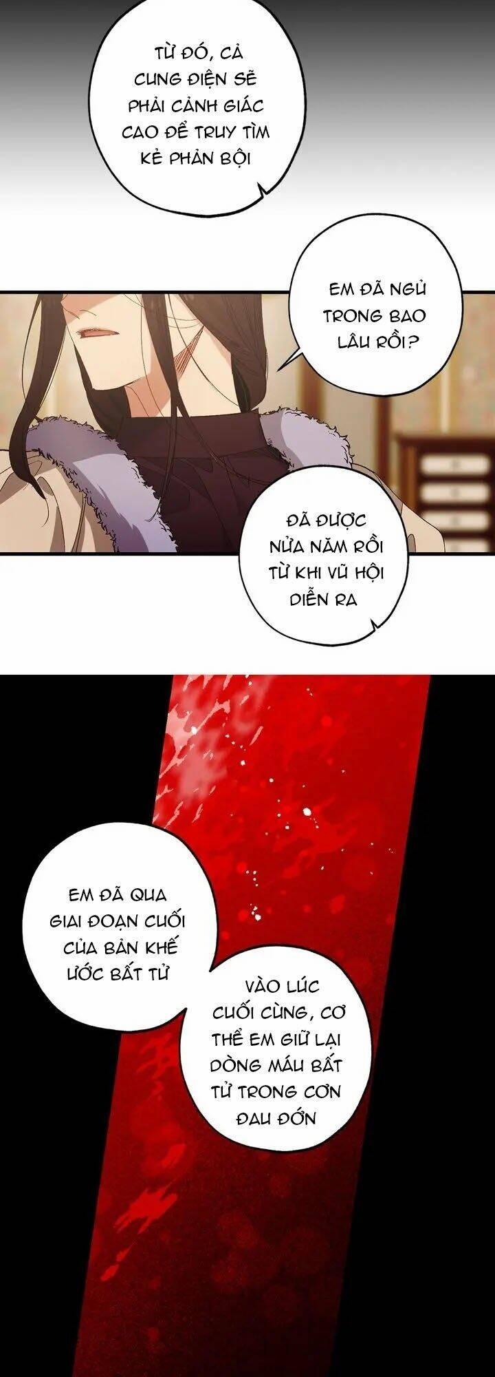 Tình Điên Dại 52 trang 10