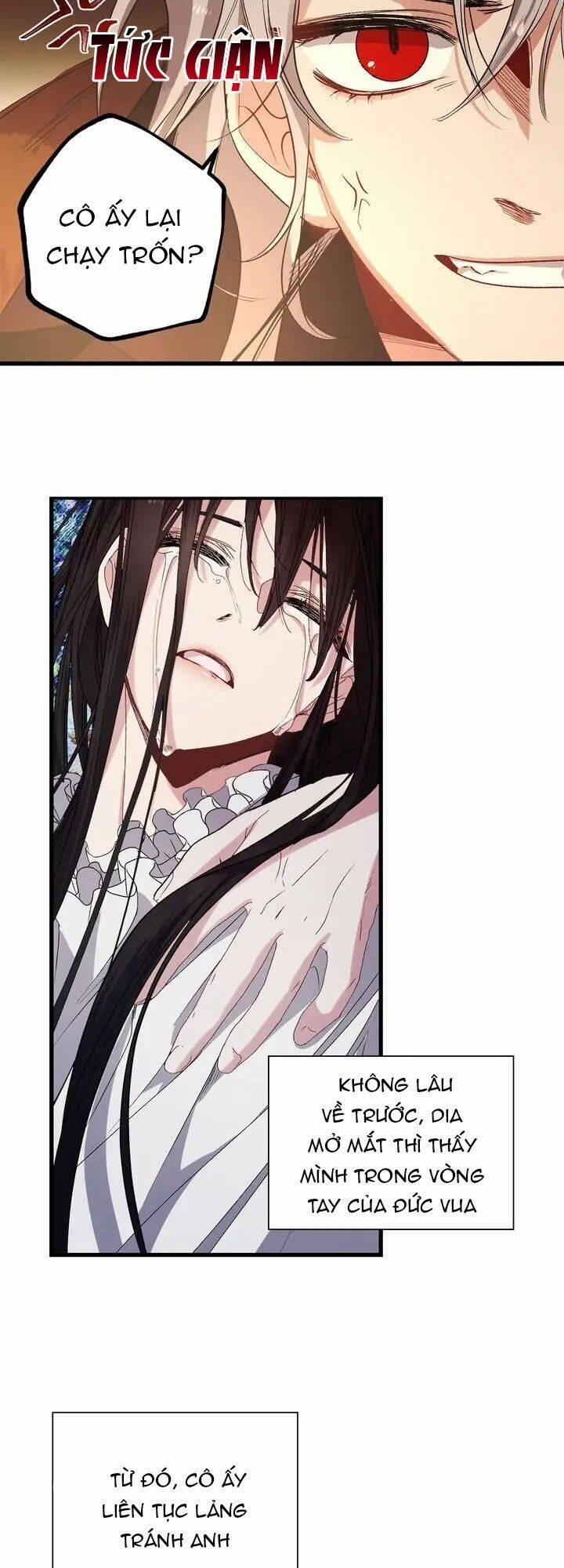 Tình Điên Dại 52 trang 16