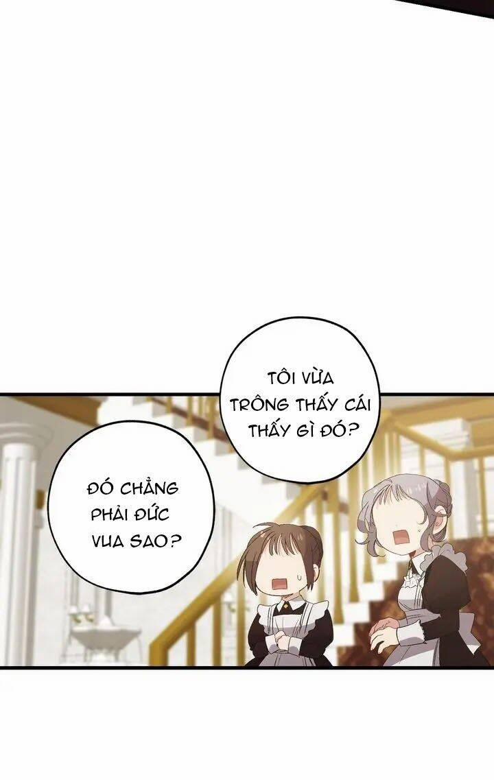 Tình Điên Dại 52 trang 19