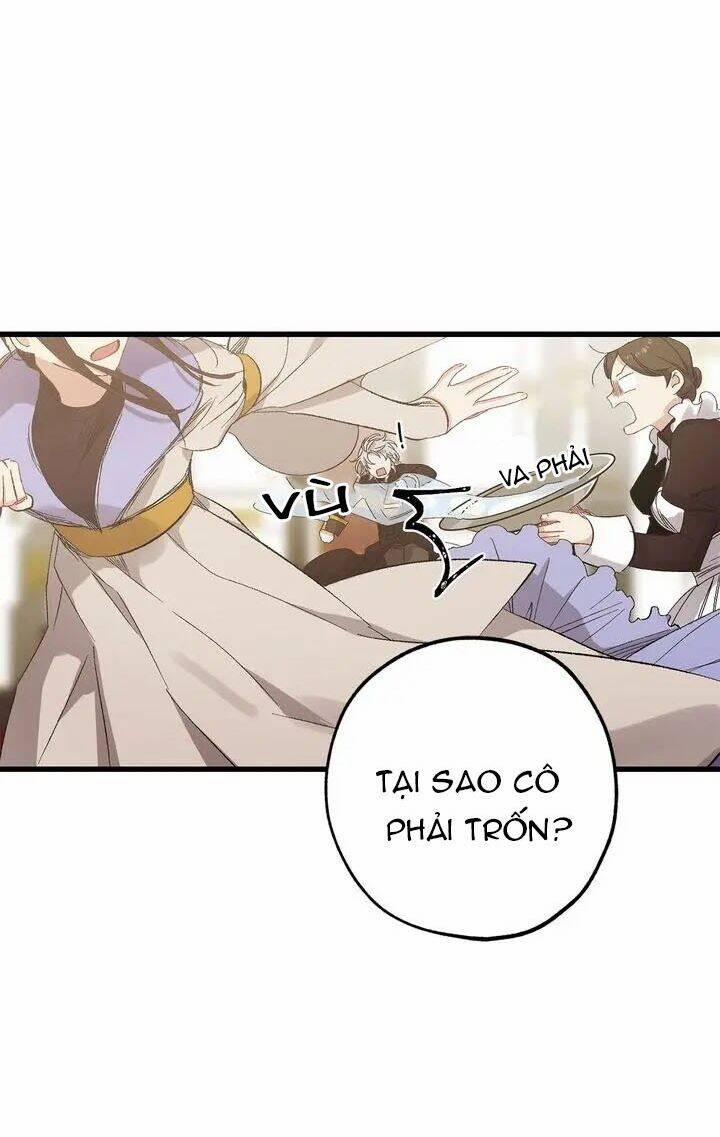 Tình Điên Dại 52 trang 20