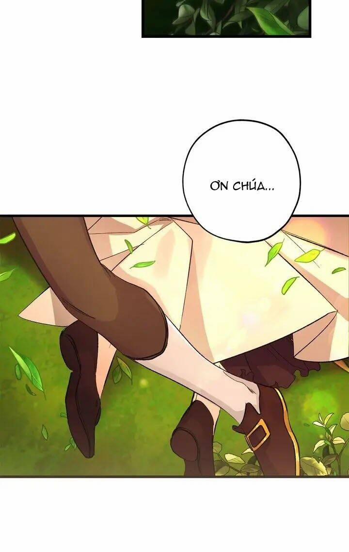 Tình Điên Dại 52 trang 27