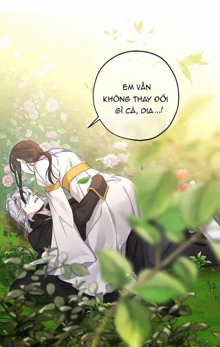 Tình Điên Dại 52 trang 28