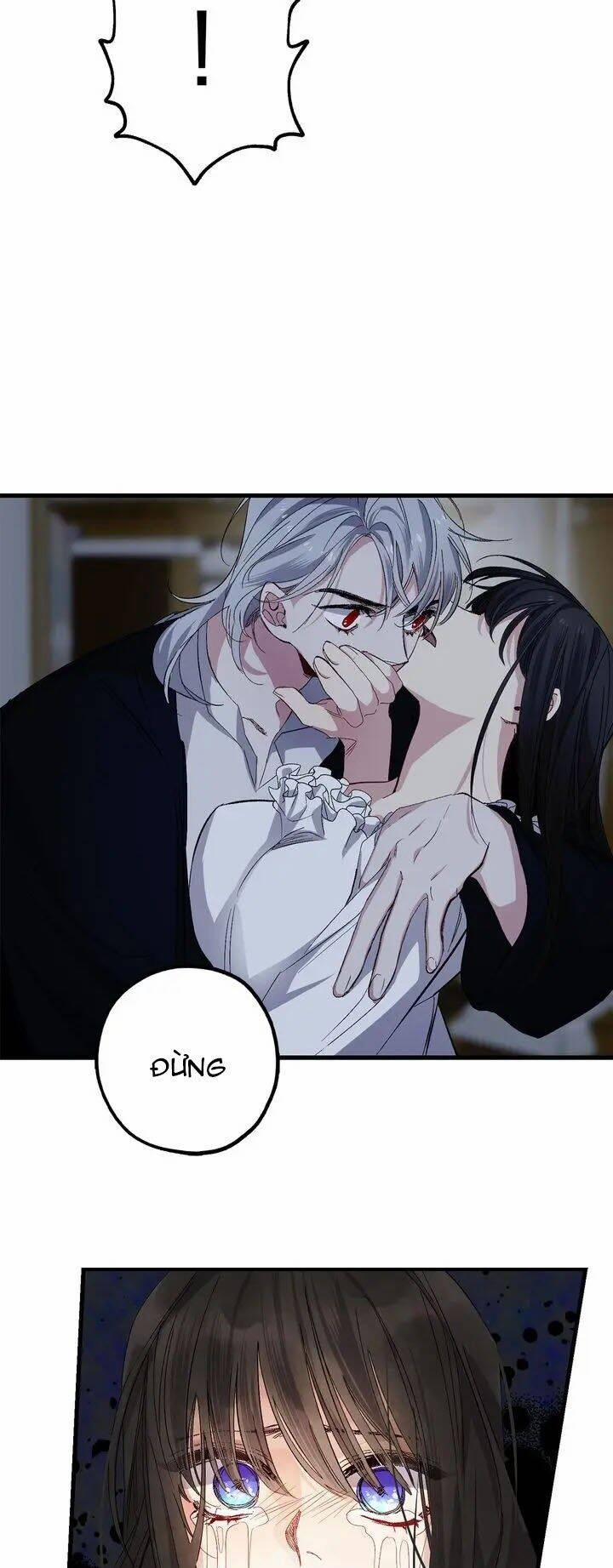 Tình Điên Dại 52 trang 3