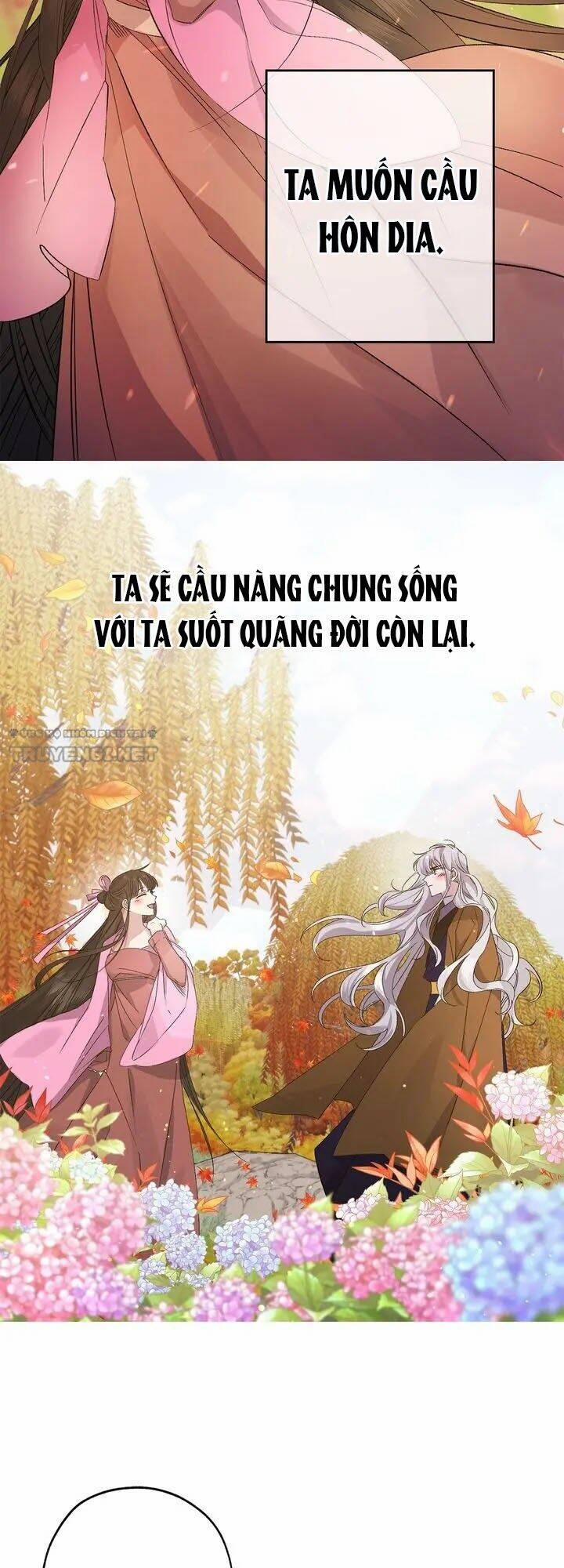 Tình Điên Dại 53 trang 24