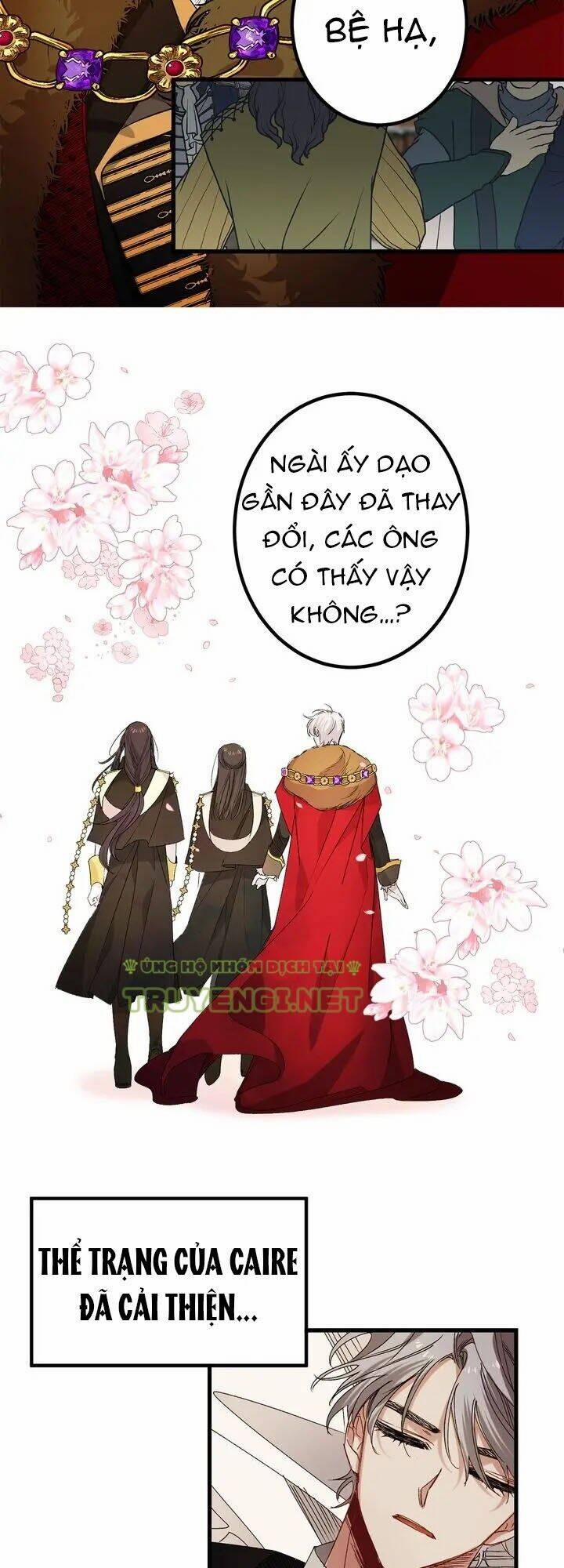 Tình Điên Dại 54 trang 13