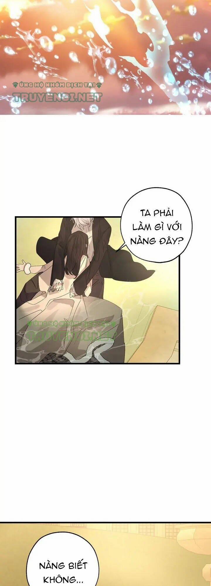 Tình Điên Dại 55 trang 21