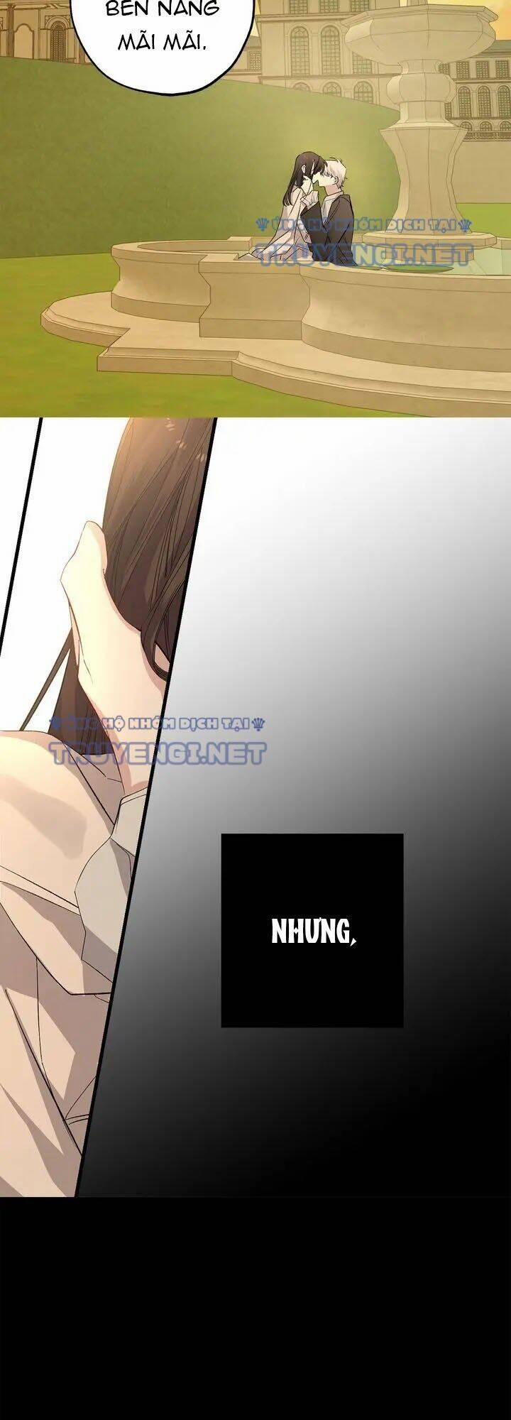 Tình Điên Dại 55 trang 28