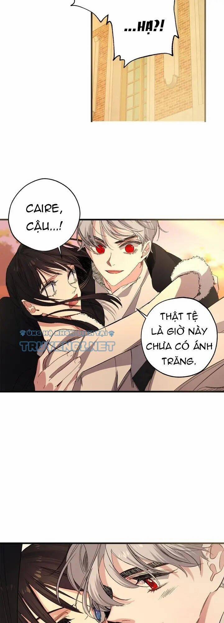 Tình Điên Dại 55 trang 8