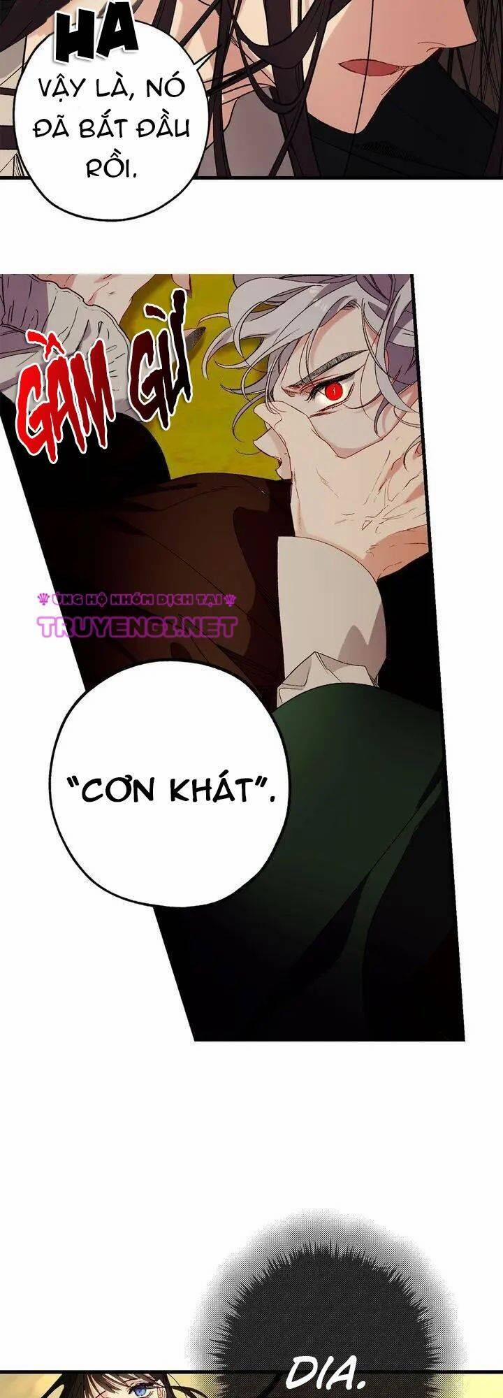 Tình Điên Dại 56 trang 13