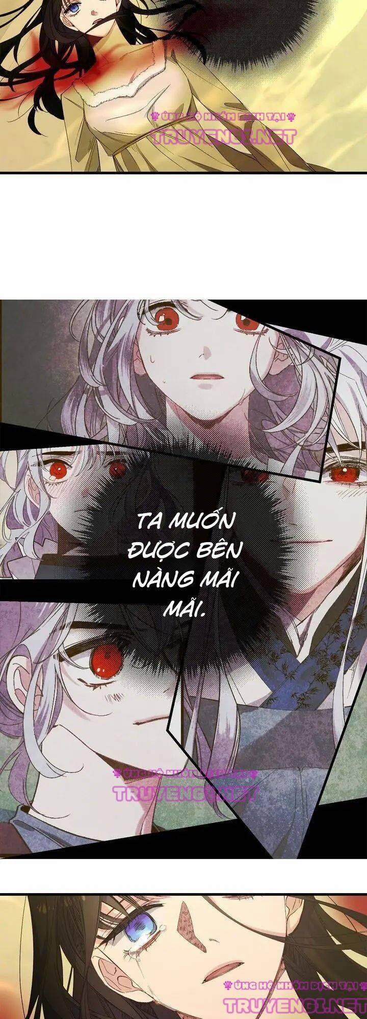 Tình Điên Dại 56 trang 14