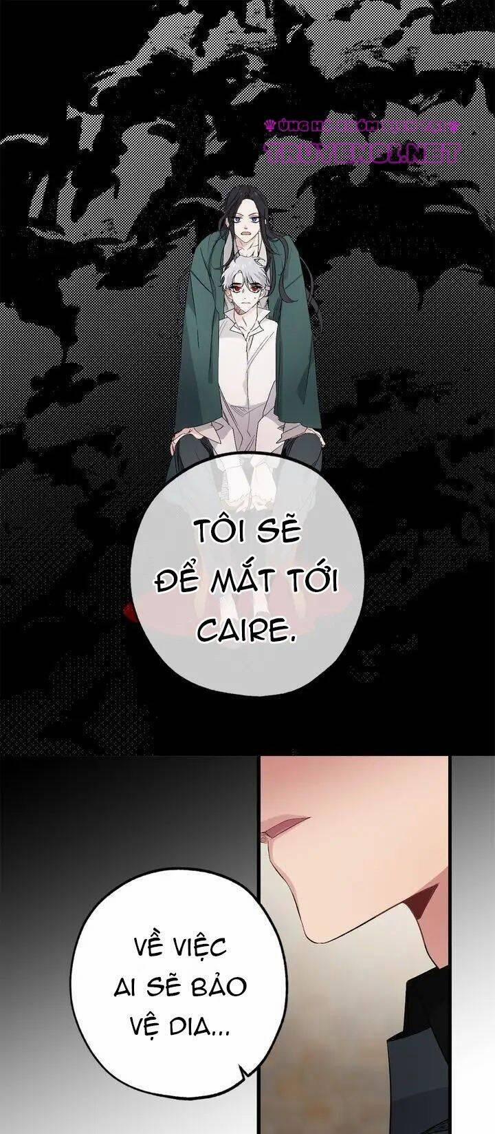 Tình Điên Dại 56 trang 27