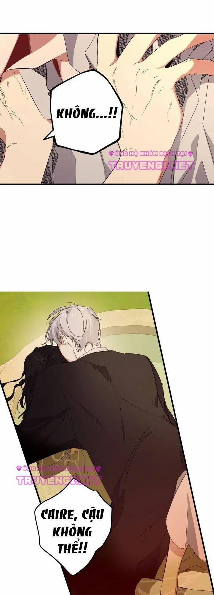 Tình Điên Dại 56 trang 8