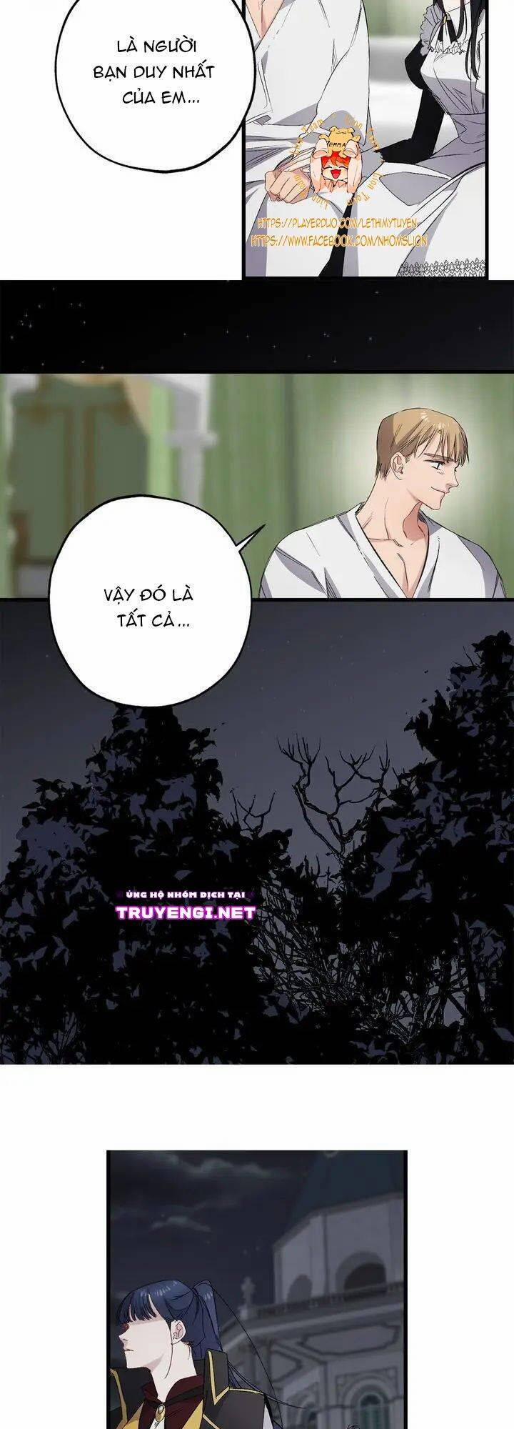 Tình Điên Dại 58 trang 13