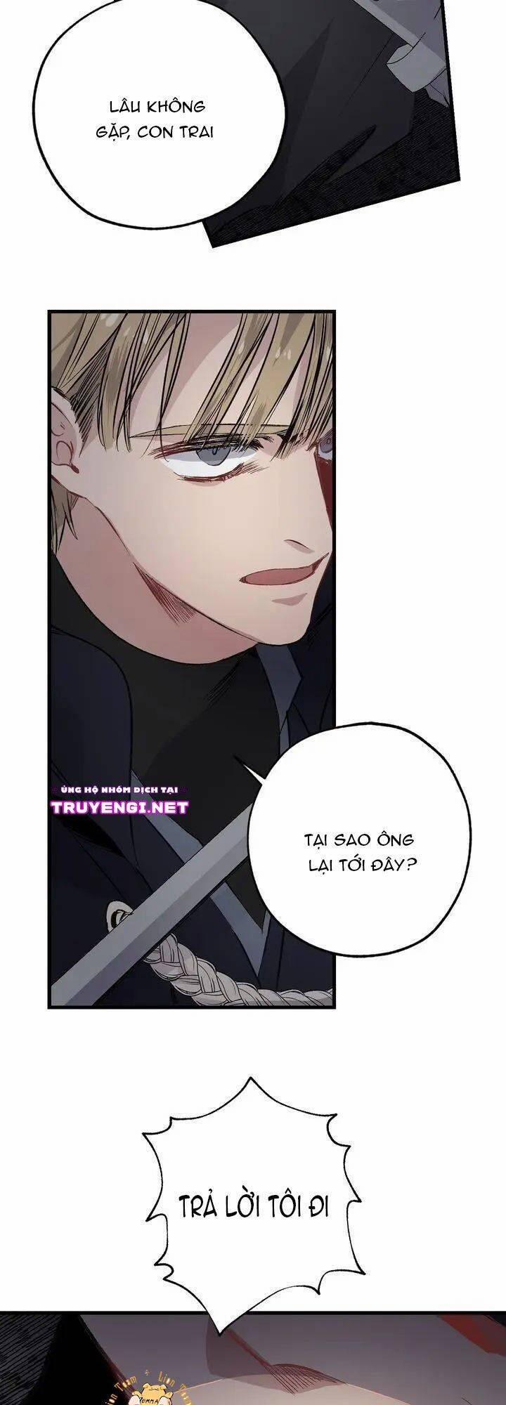 Tình Điên Dại 58 trang 21