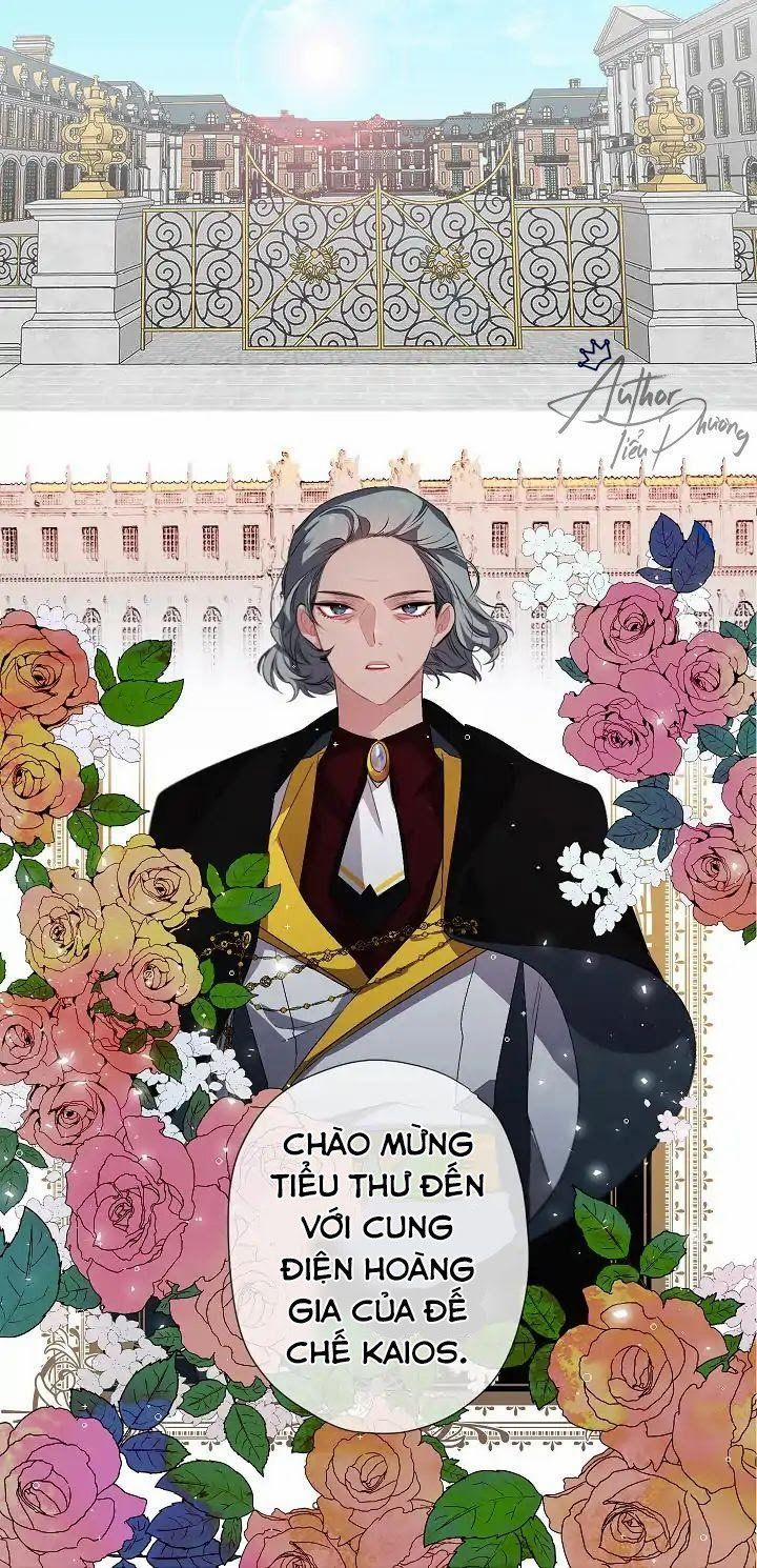 Tình Điên Dại 6 trang 35