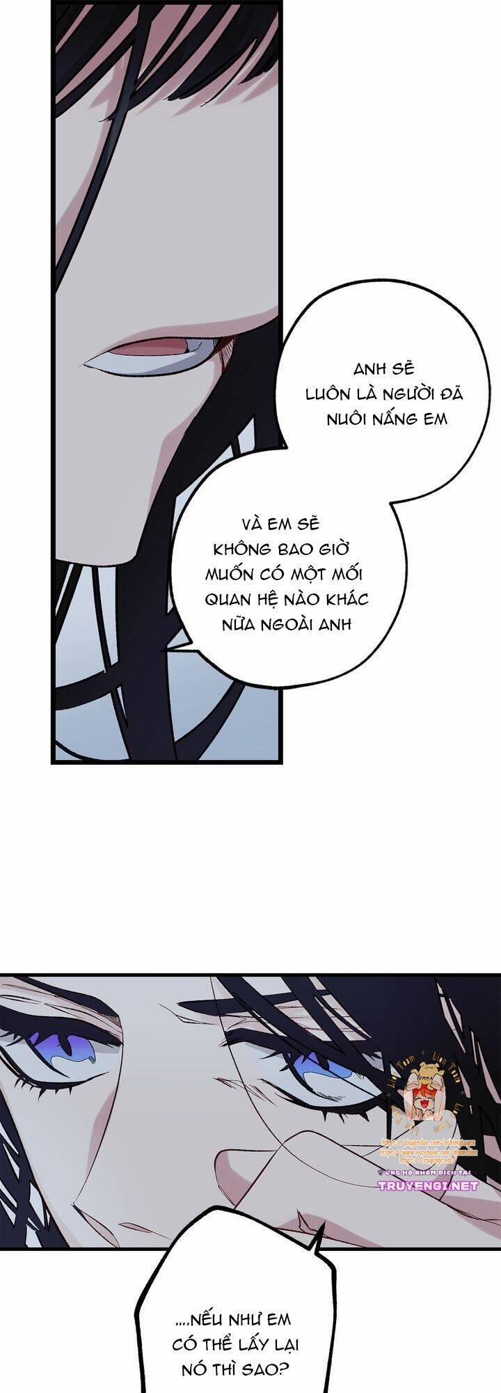 Tình Điên Dại 60 trang 11